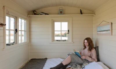 Romney Marsh Wool and Shepherds Huts