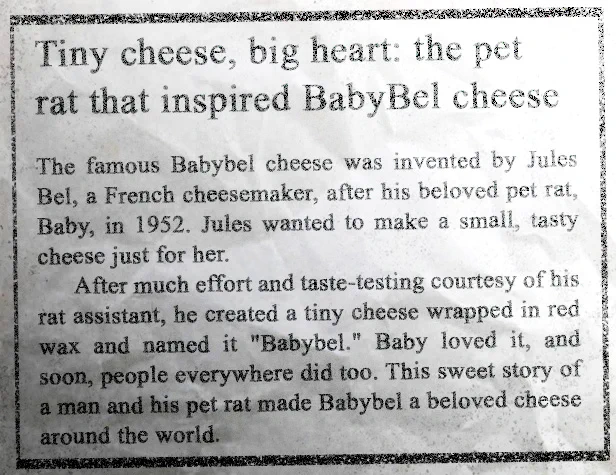 A clipping from an aged article.

Tiny cheese, big heart: the pet rat that inspired BabyBel cheese.

The famous Babybel cheese was invented by Jules Bel, a French cheesemaker, after his beloved pet rat, Baby, in 1952. Jules wanted to make a small, tasty cheese just for her.

After much effort and taste-testing courtesy of his rat assistant, he created a tiny cheese wrapped in red wax and named it "Babybel." Baby loved it, and soon, people everywhere did too. This sweet story of a man and his pet rat made Babybel a beloved cheese around the world.

Edit by me...