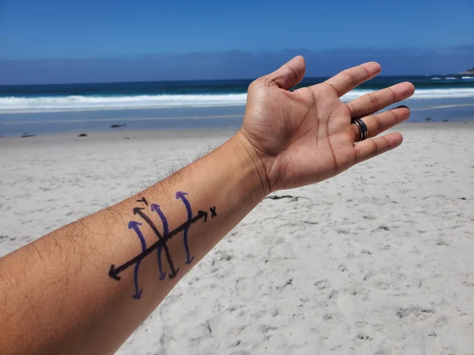 A picture of my arm with the ocean in the background. On my arm is the graph of y=tan(x)