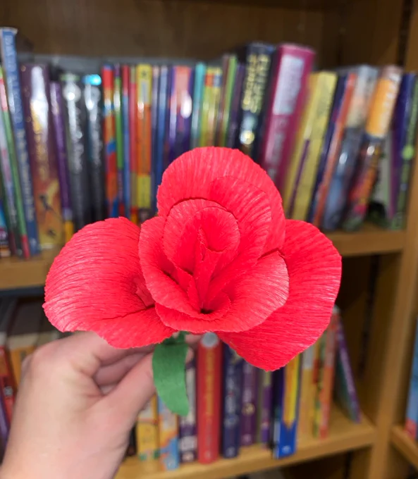 A beautiful red paper rose crafted at Yiewsley library for their Traditional Polish Paper Flower craft event. The rose is held up facing the camera with a bookcase in the background. 