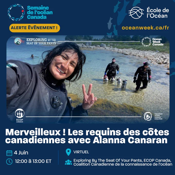 Une femme sourit à la caméra en faisant un signe de paix. Elle se trouve sur une plage avec deux autres personnes. Le texte se lit comme suit : « Merveilleux ! Les requins des côtes canadiennes avec Alanna Canaran ».