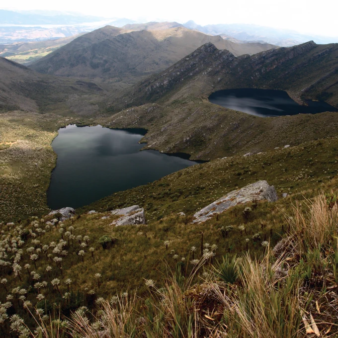3. Parque Nacional Natural Chingaza © Luis Alejandro Bernal