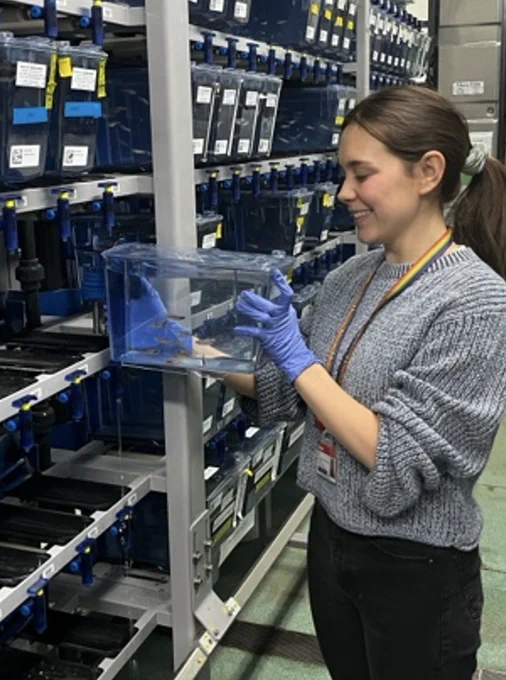 An image of Emily holding a tank of zebrafish, standing in front of a rack of other zebrafish housing tanks. Emily is smiling and looking down at the tank she is holding.