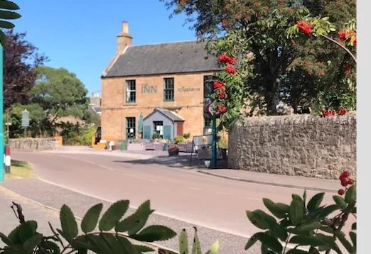 Front of old pub building in the sunshine with blue sky. The pub is on a road and green foliage is in the foreground of the image. 