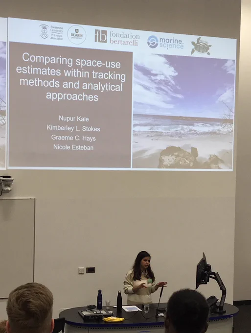 PhD student talk on space use estimates in sea turtles