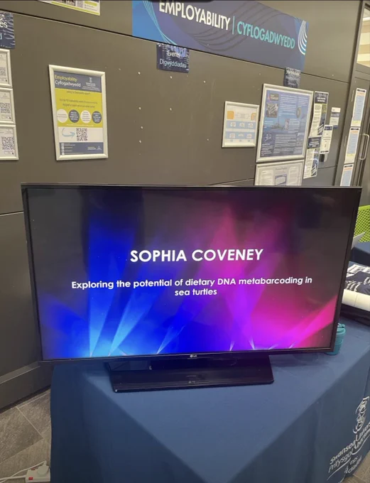TV screen displaying the PhD student talk