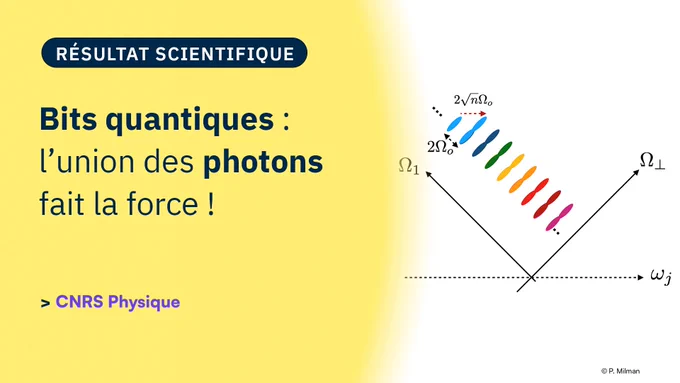 Vignette Résultat Scientifique de CNRS Physique.

Titre de l'actualité : Bits quantiques : l’union des photons fait la force !

Références de la publication : Gottesman-Kitaev-Preskill encoding in continuous modal variables of single photons, Éloi Descamps, Arne Keller et Pérola Milman, Physical Review Letters, publié le 26/04/2024.

Figure : L’information quantique est encodée dans des variables collectives des photons (comme la moyenne des fréquences des photons) sous la forme d’un peigne de fréquence (ici, la variable Ω1). Les autres variables collectives (regroupées dans la variable Ω⊥) ne portent pas d’information et ne sont pas mesurées. Ainsi, les effets du déplacement (bruit) d’un photon a un moindre effet sur le peigne, le rendant plus robuste aux perturbations. Cet effet est d’autant plus petit que le nombre de photons du peigne n est grand, puisqu’il dépend de l’inverse de cette quantité © P. Milman.