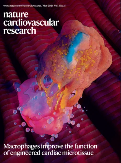 Image: Ella Maru Studio. Cover design: Bethany Vukomanovic