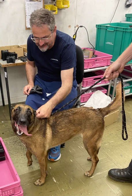 Police Dog from Gwent Police Dog Section at Peter Jones ILG