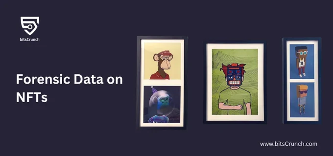 Uncover potential risks and fraudulent activities in the NFT space through detailed forensic data by bitsCrunch.