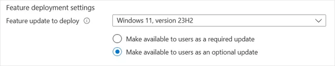 screenshot showing the new optional update toggle