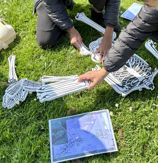 Photo showing pupils’ hands putting together a large foam human skeleton puzzle on the grass. In the foreground is a copy of a plan of the excavation of the medieval cemetery.