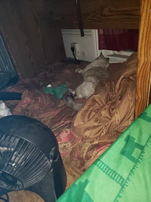 Snowcloud doin a hekkin sleep