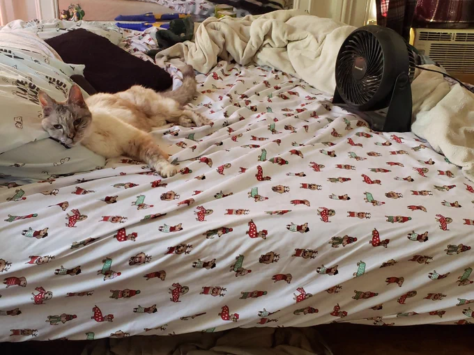 Sleepy baby on bed