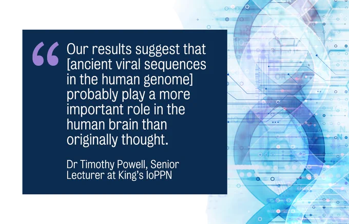 "Our results suggest that [ancient viral sequences in the human genome] probably play a more important role in the human brain than originally thought." Dr Timothy Powell, Senior Lecturer at King’s IoPPN