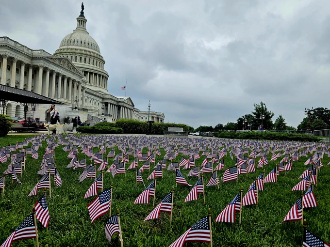 American flags in the ground in front of the capitol.