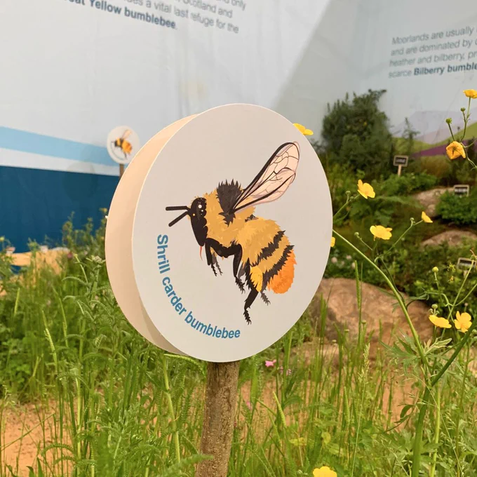 An icon for the Shrill carder bumblebee.