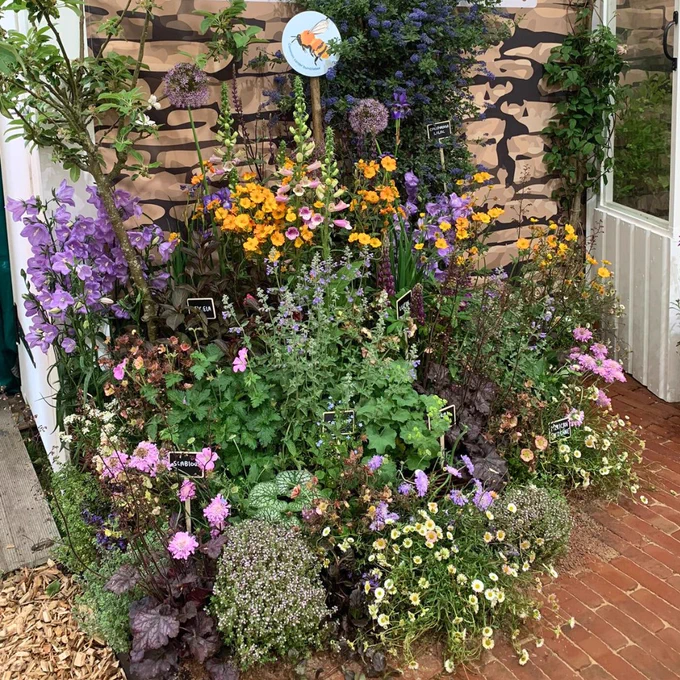 A close-up of colourful bumblebee-friendly plants.