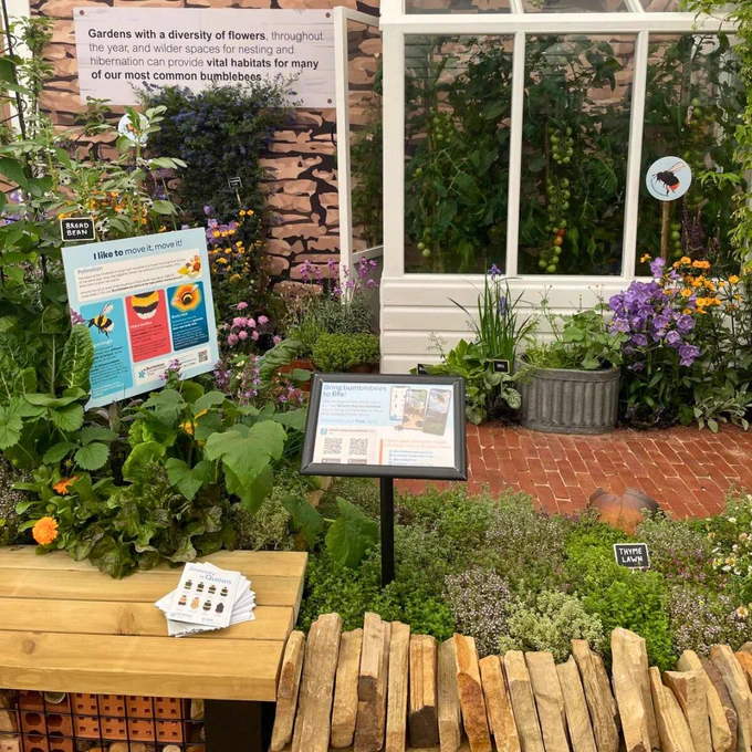 A section of the exhibit showing bumblebee-friendly plunts in a garden and greenhouse.