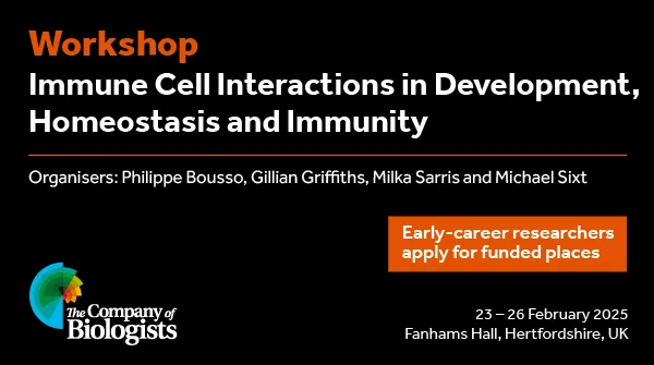 Workshop - Immune Cell Interactions in Development, Homeostasis and Immunity
Organisers: Philippe Bousso, Gillian Griffiths, Milka Sarris & Michael Sixt
Early-career researchers apply for funded places 
23-26 February 2025
Fanhams Hall, Hertfordshire, UK