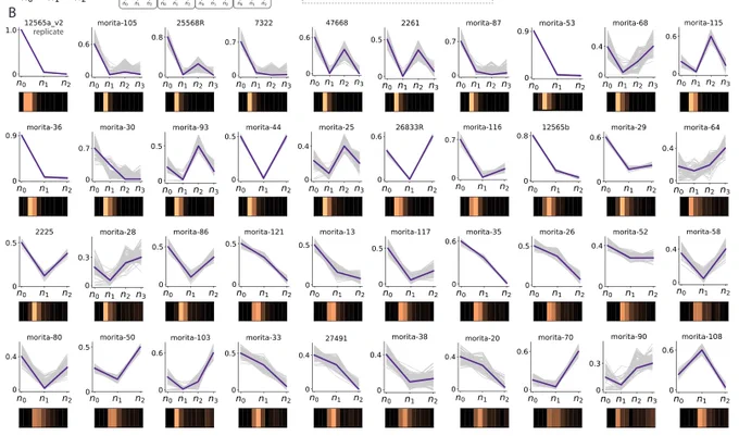 levels of positive selection operating during pre-leukaemic evolution inferred from the statistical properties of 80 single-cell derived phylogenies