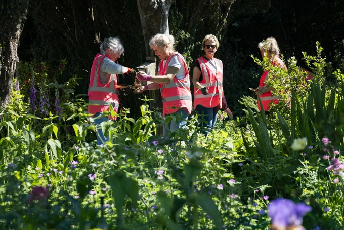 Photo showing 4 Yatton Station Adopters wearing pink hi-vis jackets, tending to the station garden in the bright sunshine.