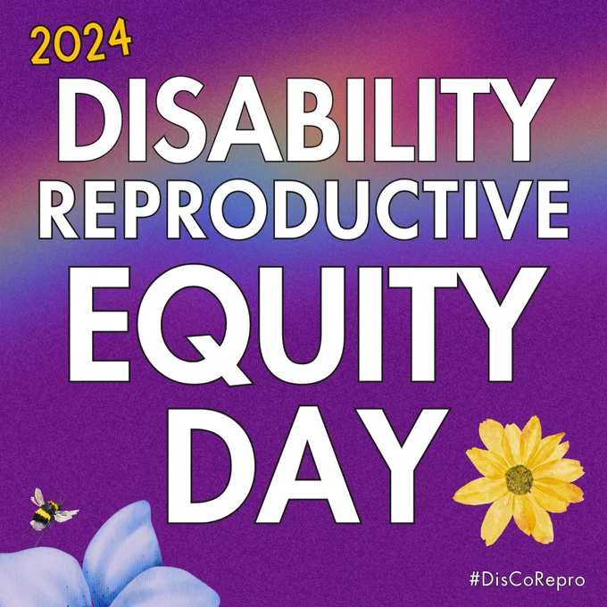  A colorful “2024 Disability Reproductive Equity Day” graphic with flowers and a bee. 

