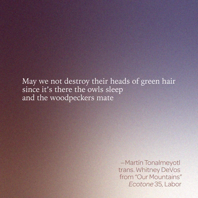“May we not destroy their heads of green hair / since it’s there the owls sleep / and the woodpeckers mate,” 
-- Martín Tonalmeyotl 
trans. Whitney DeVos 
from “Our Mountains” 
Ecotone 35, Labor 
