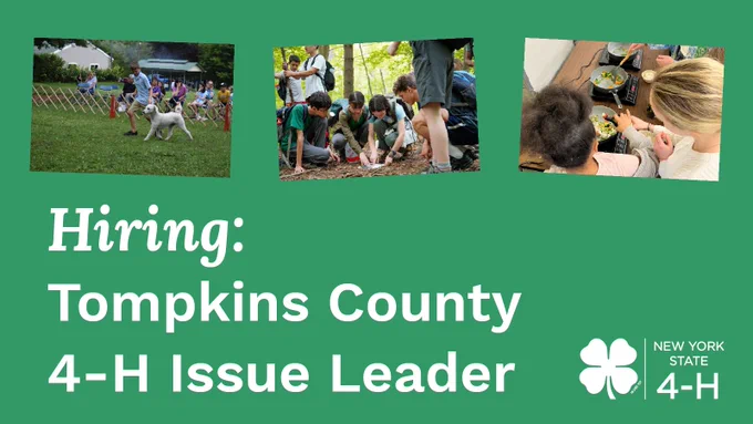 Three photos: a young person leading a dog outdoors, a group of youth crouching around a small campfire, and a volunteer helping a child learn to cook on a hot plate, alongside text "Hiring: Tompkins County 4-H Issue Leader."