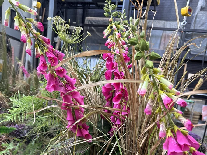 Pink flowers and long grass reeds are pictured on a workshop floor. 