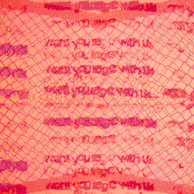 A graphic advertising the "won't you rage with us" solidarity fundraiser. The Poster is orange and red with abstract and distorted shapes. Faded words read "won't you rage with us?"