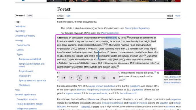 Visual is a static screenshot demonstration of the magnifier feature on ChomeOS following select to speak. 