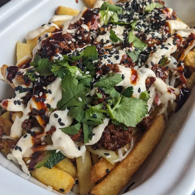 Loaded fries to the max