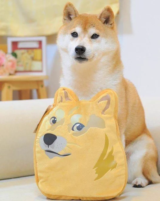 kabosu sits on a light colored sofa and poses with a mona lisa smile on her lips. she’s got a pillow of her own meme-worthy face propped up in front of her.