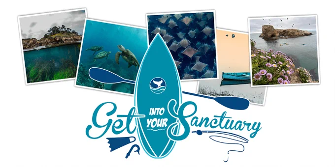 Collage of 2023 Get Into Your Sanctuary Photo Contest winners.