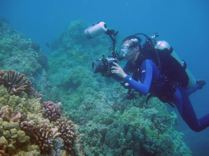 Diver with underwater camera taking a photo of a coral reef in Hawaiian Islands Humpback Whale National Marine Sanctuary.