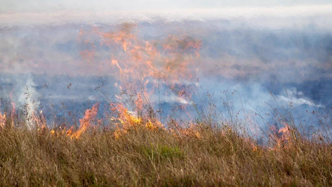 Prairie fire