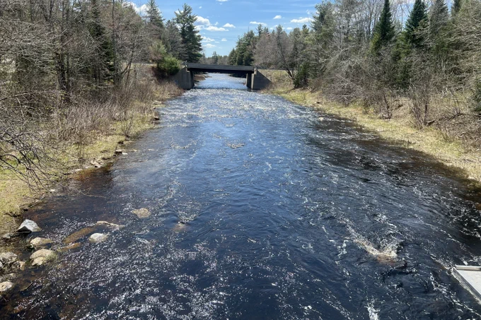 River with quick flow, some white water, trees along shore line and bridge in the background.