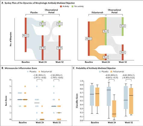 Panel A: Sankey plots of the dynamics of morphologic antibody-mediated rejection (active or chronic active) as compared with no activity (chronic inactive or no rejection) in the felzartamab and placebo groups across biopsy samples obtained at baseline, week 24, and week 52.
Panel B: The microvascular inflammation score (a sum score of glomerulitis and peritubular capillaritis)
in biopsy samples according to the Banff classification at baseline, week 24, and week 52.
Panel C: Molecular score reflecting the probability of antibody-mediated rejection in biopsy samples obtained at baseline, week 24, and week 52.