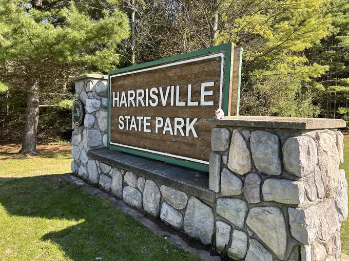 Small stuffed rhino on the entrance sign for Harrisville State Park