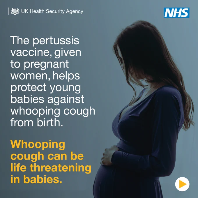 Pregant woman holding her stomach