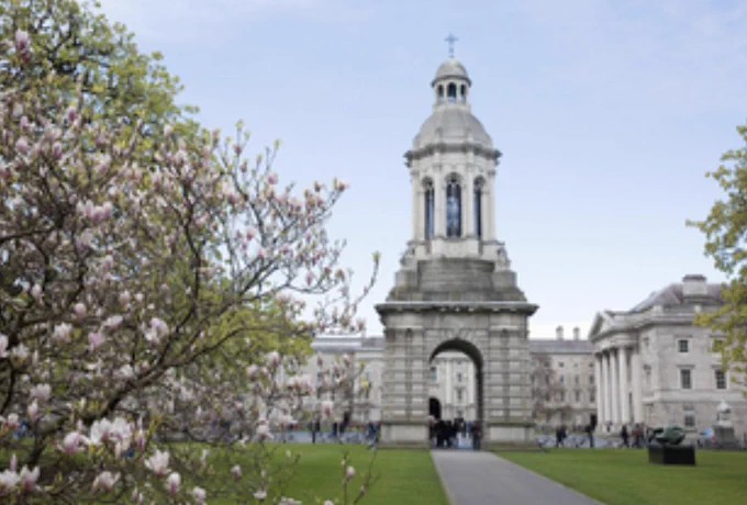 Trinity's campanile against a pale blue sky, with blossom trees in the foreground.