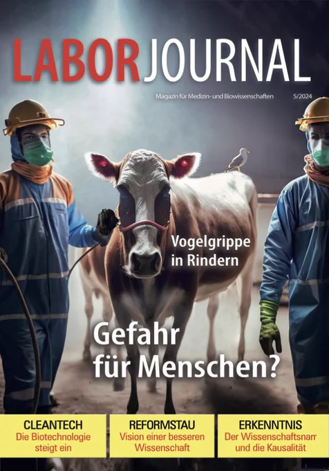 Titelseite der Laborjournal-Ausgabe 5/2024 mit Titelbild von einem Rind, von zwei Personen in Schutzanzügen und -masken geführt wird
