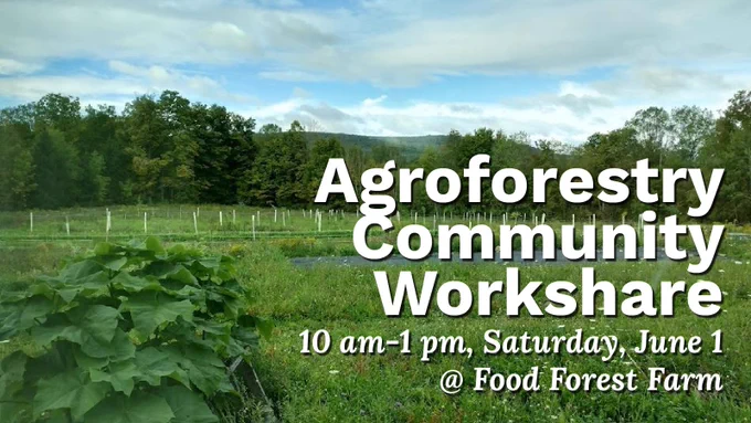 View of a wide meadow prepared for growing trees and a slightly cloudy sky above, with text "Agroforestry Community Workshare, 10 am-1 pm, Saturday, June 1 at Food Forest Farm."
