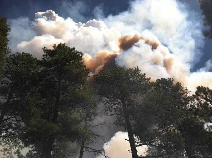 Smoke from a wildfire rising above a tree line. Credit: USGS