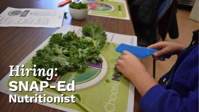 On a table, a young person uses a safety knife and MyPlate cutting board to chop up kale leaves, with overlaid text "Hiring: SNAP-Ed Nutritionist."