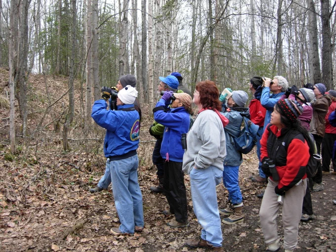 📷Each week in May, new migratory birds arrive on Campbell Tract, giving birders a chance to observe progression of birds over the course of the month.
A group of people looking into the trees with binocular