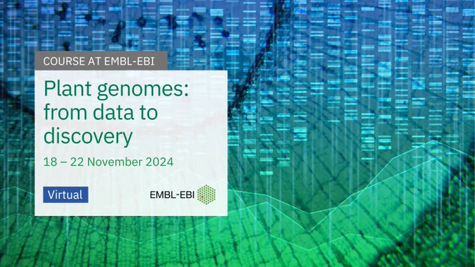 Course at EMBL-EBI
Plant genomes: from data to discovery
18 - 22 November 2024
Virtual