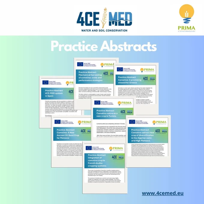 Library section of the project website https://www.4cemed.eu/library/