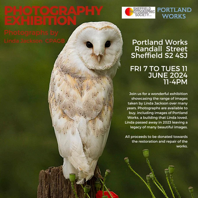 Beautiful picture of owl perched on a post in the daytime, with green fields and red poppies.  Advertising an exhibition of the photographs of Linda Jackson 7 - 11 June, 11-4pm Portland Works Sheffield